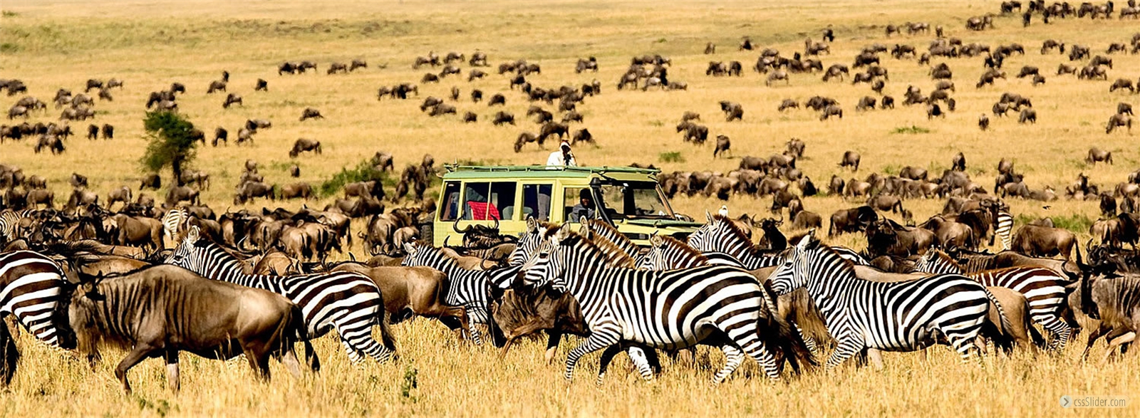 África Safari